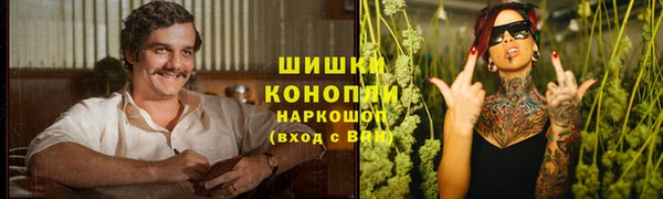 амф Богородск