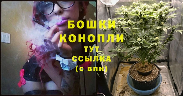 трава Богданович