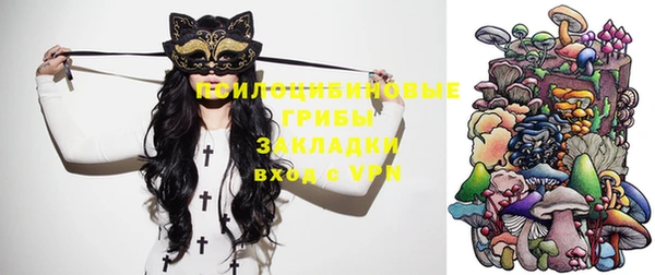 синтетический гашиш Богородицк